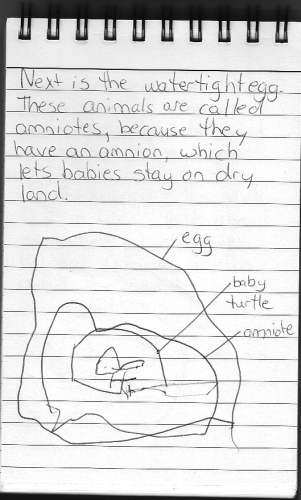 Evolution Journal - Page 5 - Watertight Egg