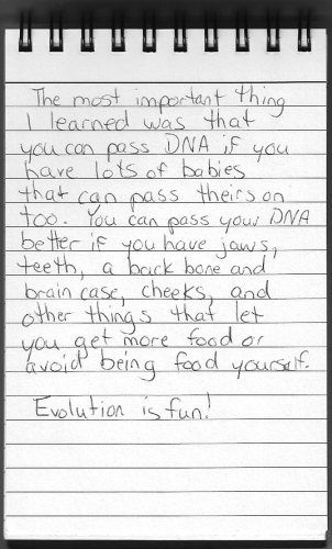 Evolution Journal - Page 26 - Conclusion - 2